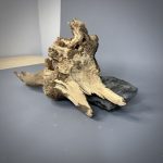 Коряга Дуба ДБ782 — изображение 6