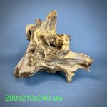 Коряга Дуба ДБ783 — изображение 2