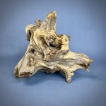 Коряга Дуба