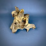 Коряга Дуба ДБ783 — изображение 3