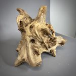 Коряга Дуба ДБ783 — изображение 5