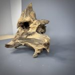 Коряга Дуба ДБ783 — изображение 6