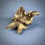 Коряга Дуба ДБ783 — изображение 7