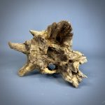 Коряга Дуба ДБ783 — изображение 9