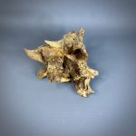 Коряга Дуба ДБ783 — изображение 10