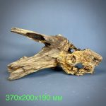 Коряга Дуба ДБ784 — изображение 2