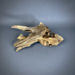 Коряга Дуба ДБ784 — изображение 3