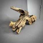 Коряга Дуба ДБ784 — изображение 5