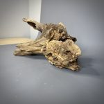 Коряга Дуба ДБ784 — изображение 6