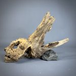 Коряга Дуба ДБ784 — изображение 8