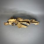 Коряга Дуба ДБ785 — изображение 4