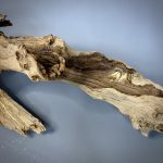 Коряга Дуба ДБ785 — изображение 6