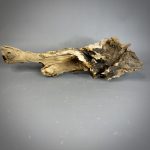 Коряга Дуба ДБ785 — изображение 7