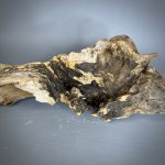 Коряга Дуба ДБ785 — изображение 8